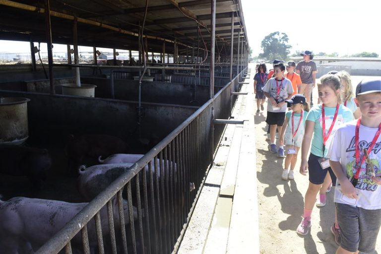 csuf farm tours 768x512