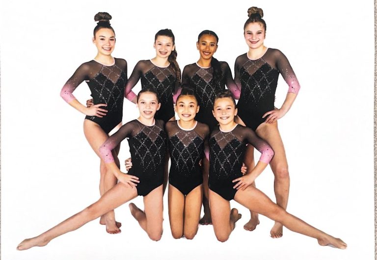 ccgymnasticsinstitute 768x530
